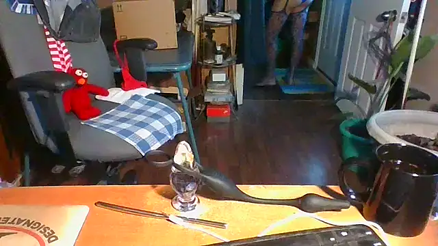 Daremeknot online show from December 2024 01:54:02 PM