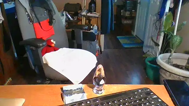 Daremeknot online show from December 2024 02:25:02 PM