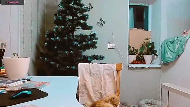 RosaJil online show from December 2024 03:06:01 PM