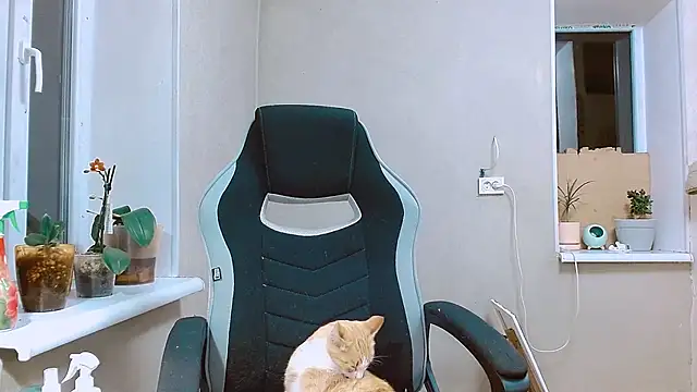 RosaJil online show from September 2025 05:35:02 PM