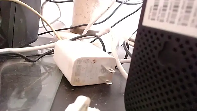 bardotbigcockts online show from September 2025 08:01:02 PM