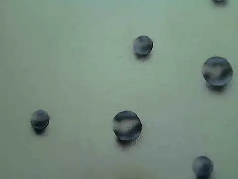 Jillian Pattie online show from January 2025 04:59:01 PM