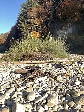 artXhibitor online show from October 2025 02:29:01 PM