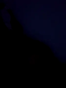 stefanie010 online show from March 2026 11:36:01 AM