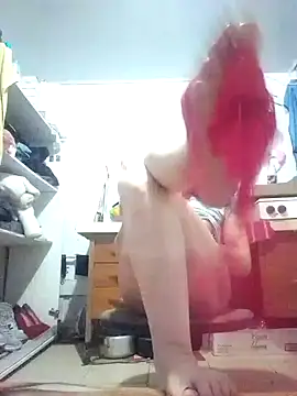 Cameron puppy online show from March 2025 01:05:02 PM