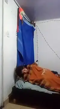 Cameron puppy online show from March 2025 06:53:02 AM