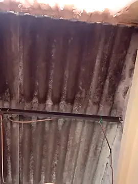 dantero online show from February 2025 07:25:01 PM