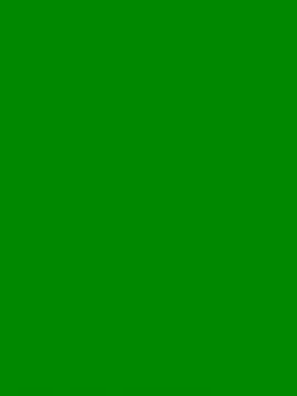 AurorHarris online show from December 2024 01:45:02 PM
