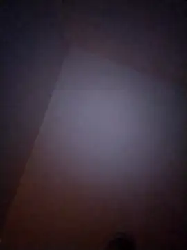 Treemandude online show from January 2026 10:08:02 AM