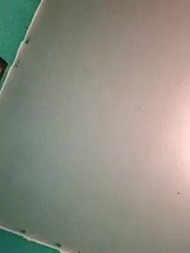 Snapshot of Treemandude chatting on June 2026 05:57:01 AM Treemandude online show from June 2026 05:57:01 AM
