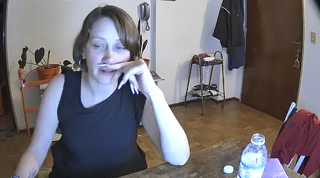 stupid babybird online show from December 2024 05:10:02 AM