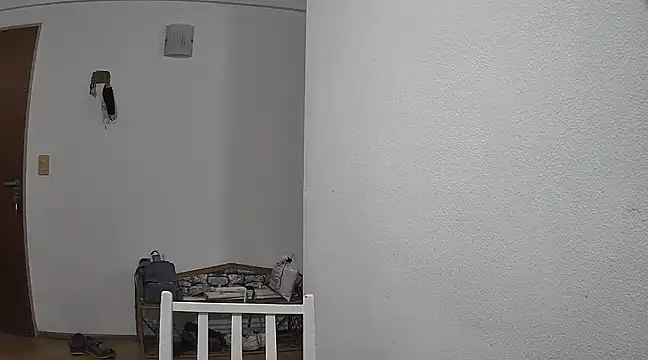 stupid babybird online show from January 2025 02:36:01 AM