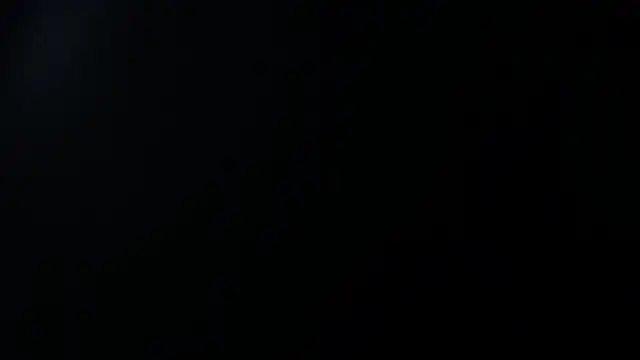 sara winehouse1 online show from January 2025 01:31:02 PM