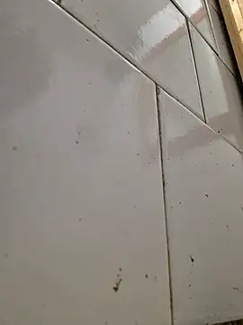 Snapshot of WhoreAnalsssxxx chatting on February 2025 09:39:01 PM WhoreAnalsssxxx online show from February 2025 09:39:01 PM