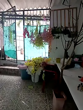 dakota johnson10 online show from December 2025 04:49:02 PM