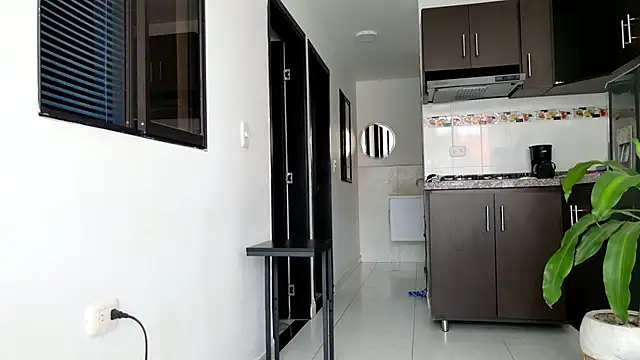 grey   27 online show from March 2025 02:08:02 PM