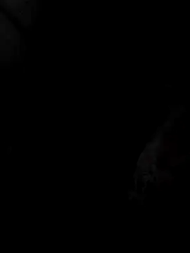 mia69x online show from December 2025 02:37:02 PM