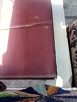 Mamta Chaterjee online show from March 2026 01:54:01 AM