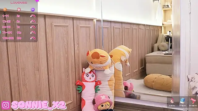 Snapshot of Sonnie_ chatting on January 2025 11:37:02 AM Sonnie online show from January 2025 11:37:02 AM