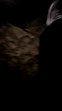 Snapshot of playtyme420691 chatting on December 2024 05:15:01 AM playtyme420691 online show from December 2024 05:15:01 AM