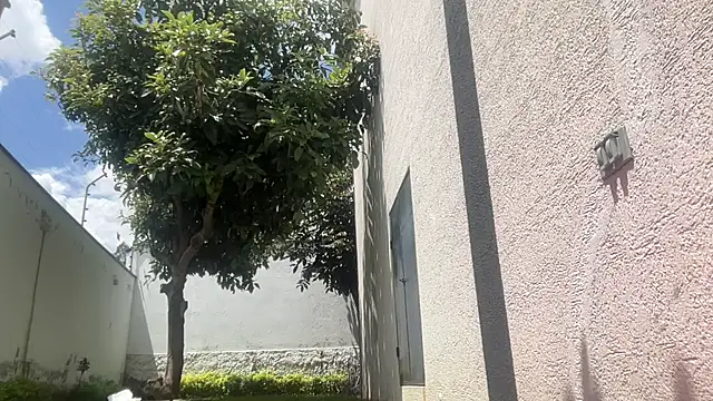 ChocolateCakeQueen online show from November 2025 04:40:01 PM