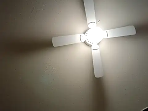 EXOTICLEXXXI online show from December 2025 03:37:02 AM