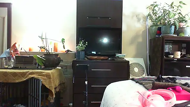 Snapshot of CeceilaMoon chatting on July 2026 04:23:02 PM CeceilaMoon online show from July 2026 04:23:02 PM