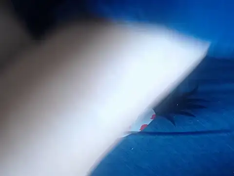 69loveme09 online show from February 2025 09:07:01 AM