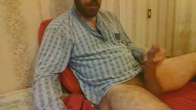 tozebrito hd online show from October 2025 07:54:01 AM