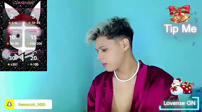 Liamscott  online show from December 2024 10:50:01 PM