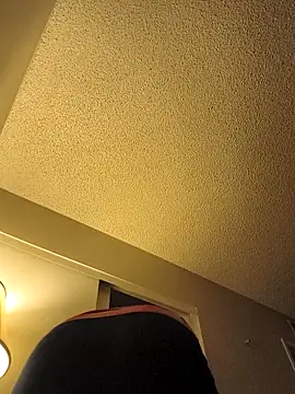 renegade vyxxen online show from November 2025 03:53:02 AM