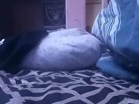 Blkstylion online show from February 2026 07:07:01 PM