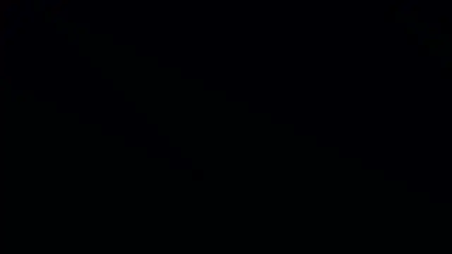 Bonkoleus online show from March 2025 06:08:02 PM