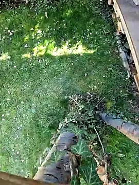 Lorent6969 online show from March 2025 01:18:01 PM