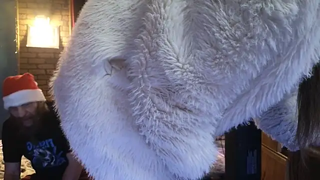 PropertyAndBiker online show from December 2024 11:03:01 PM