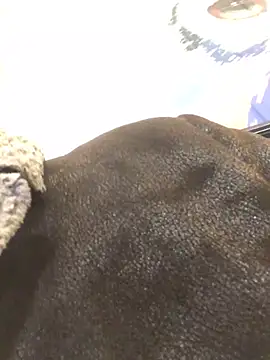 ChantalXOrchid online show from January 2025 06:56:01 PM