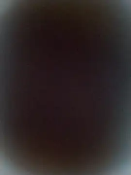 bigdoog8 online show from May 2026 12:49:01 AM