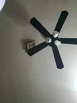 Hugebwc102 online show from November 2025 08:03:01 AM