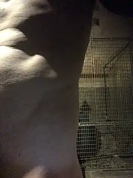 Snapshot of Josele1981 chatting on May 2026 08:46:02 PM Josele1981 online show from May 2026 08:46:02 PM