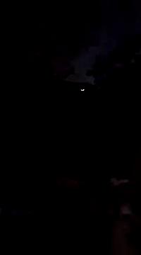 Dogz n daugthers online show from December 2024 11:13:02 PM