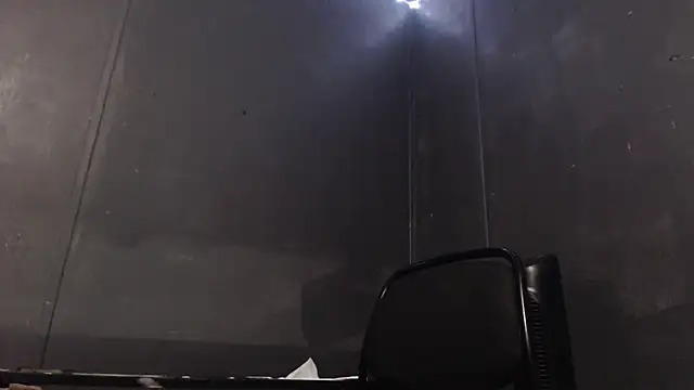 Dogz n daugthers online show from January 2025 08:25:01 PM