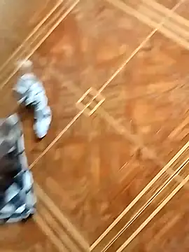 Snapshot of socrathes chatting on February 2026 12:26:01 PM socrathes online show from February 2026 12:26:01 PM