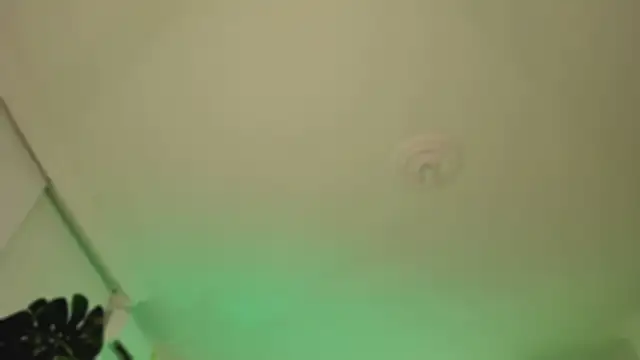 Taylor  foxxx online show from March 2025 04:08:02 AM