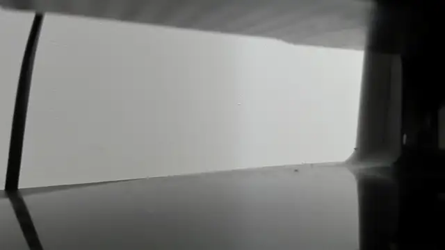 Alejandra Dunn online show from October 2025 01:19:01 PM