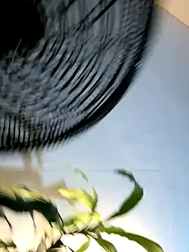  Miguel100 online show from November 2025 02:56:02 AM