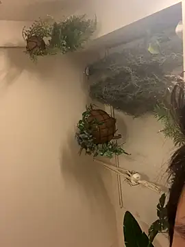 IroManager online show from September 2025 01:44:02 PM