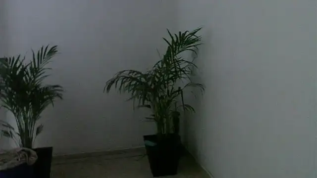 skylarhot420 online show from March 2025 12:00:01 PM