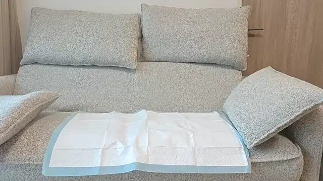 Ema japanese online show from November 2025 06:13:01 AM