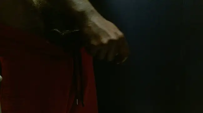 phbbcsham online show from January 2025 06:35:02 PM