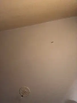 ClatteryPrexy online show from December 2024 04:27:02 PM